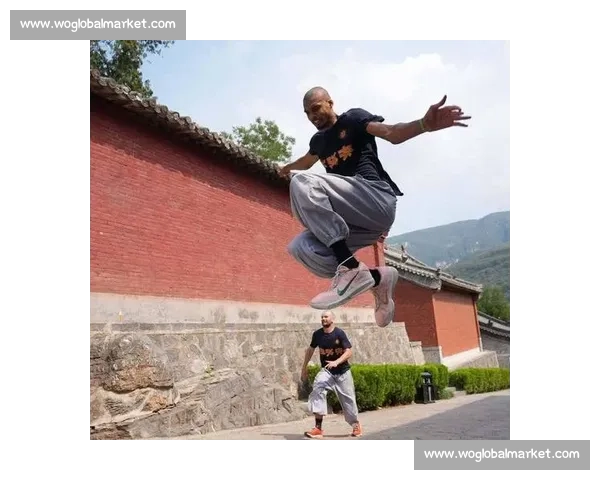 少林禅武:NBA 球星的身心修炼密码 少林禅武:NBA 球星的身心修炼密码